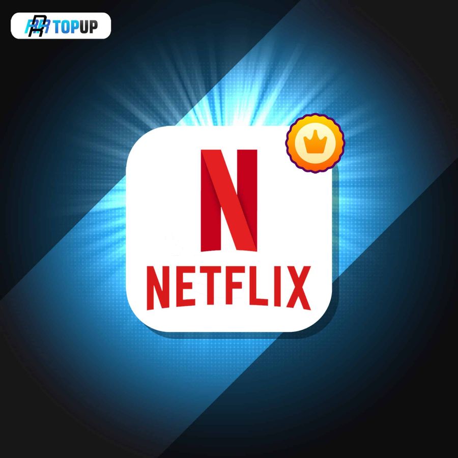 NETFLIX SUBSCRIPTION